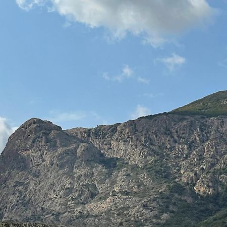 דירות אז'אקסיו Mont Gozzi מראה חיצוני תמונה